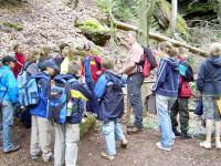 Exkursion Gersbachtal 6/2007