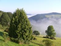 Wolfstein 8/2008