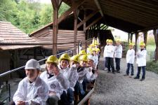 5. Klassen in Wolfstein 9/2010