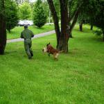 "Leibniz geht nach draußen" - 5a bei der Polizei 22.5.13