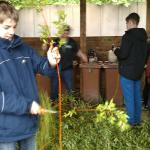 8a - Projekt "grünes Klassenzimmer" 22.5.13