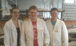 Chemiepraktikum an der TU Kaiserslautern 8/13