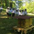 Bienen-AG 5/18