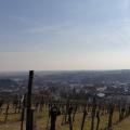 Probenfreizeit Bad Bergzabern 2/19