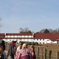 Probenfreizeit Bad Bergzabern 2/19