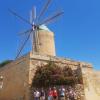 Malta 06/19