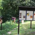 Bienenstand im Neufferpark