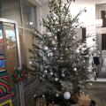 Weihnachtsbaum in der Aula 12/20