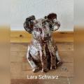 Tiergefäße 9 6/22