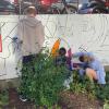 Street-Art-AG 6/22
