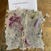 Papierschöpfen der 5b  7/22