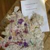 Papierschöpfen der 5b  7/22