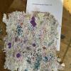 Papierschöpfen der 5b  7/22