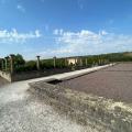 Rheinheim 7/22