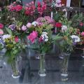 Garten-AG 6/24