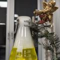 ChemisTree-Wettbewerb 12/24