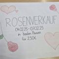Rosenverkauf der SV 2/25