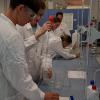 LK Chemie an der Hochschule Pirmasens 6/25