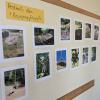 Impressionen Projektwoche 6/26