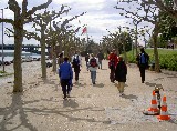 Mainzmarathon 5/05